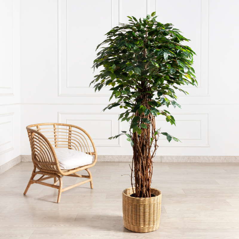 160/ССТК/ВП/34(УУ)(Пр)(F) Фикус искусственный h160см (латекс)_3