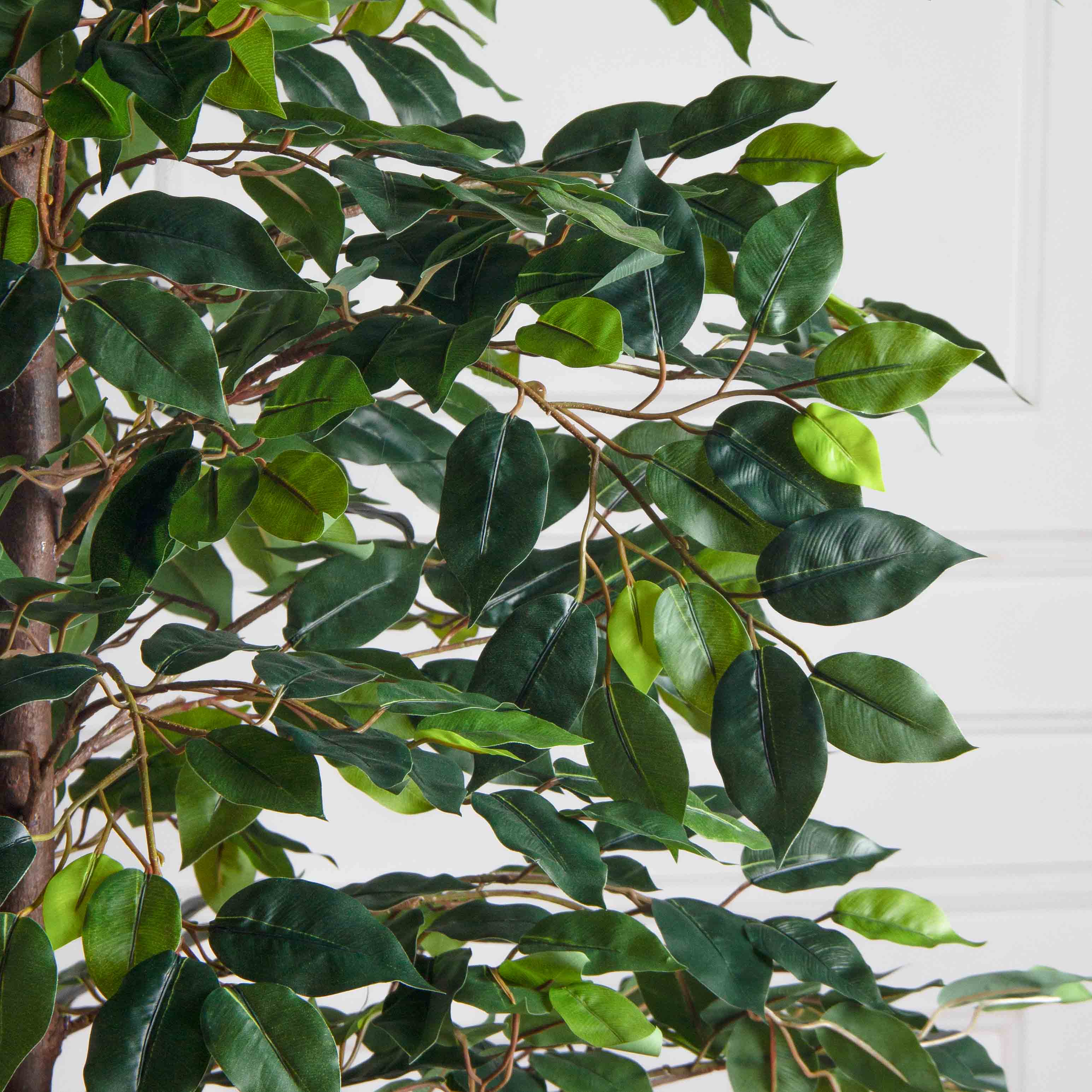 180/РУ/34(Пр)(F) Фикус искусственный разноуровневый h180см, латекс_5