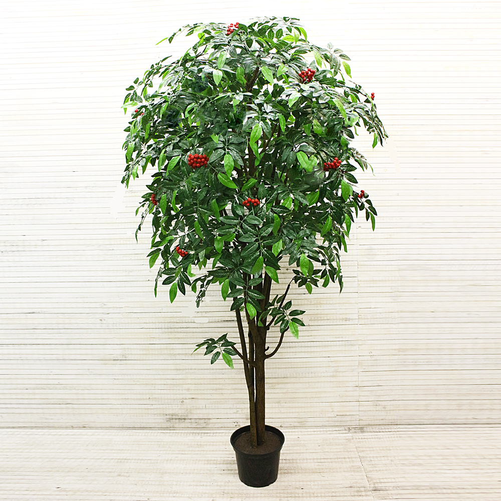 200/РН/180 Рябина 200см