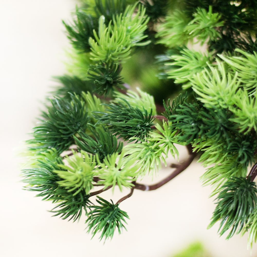 БС90/ОС/2К/30 Бонсай Сосна h-90см_2