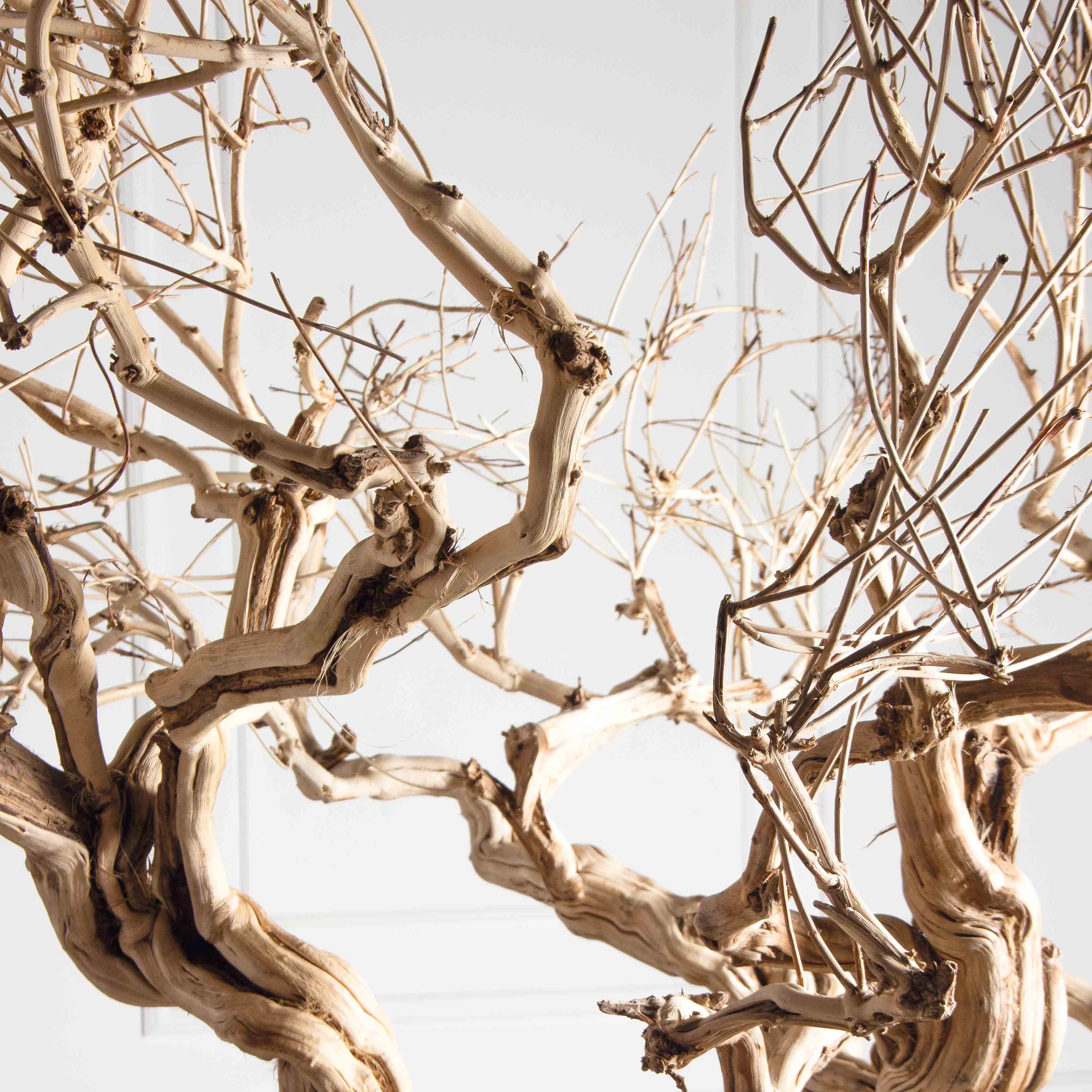 220ГБст/разб/АСС/Д3х3(F) Дерево интерьерное разборное h220см, на витом стволе_6