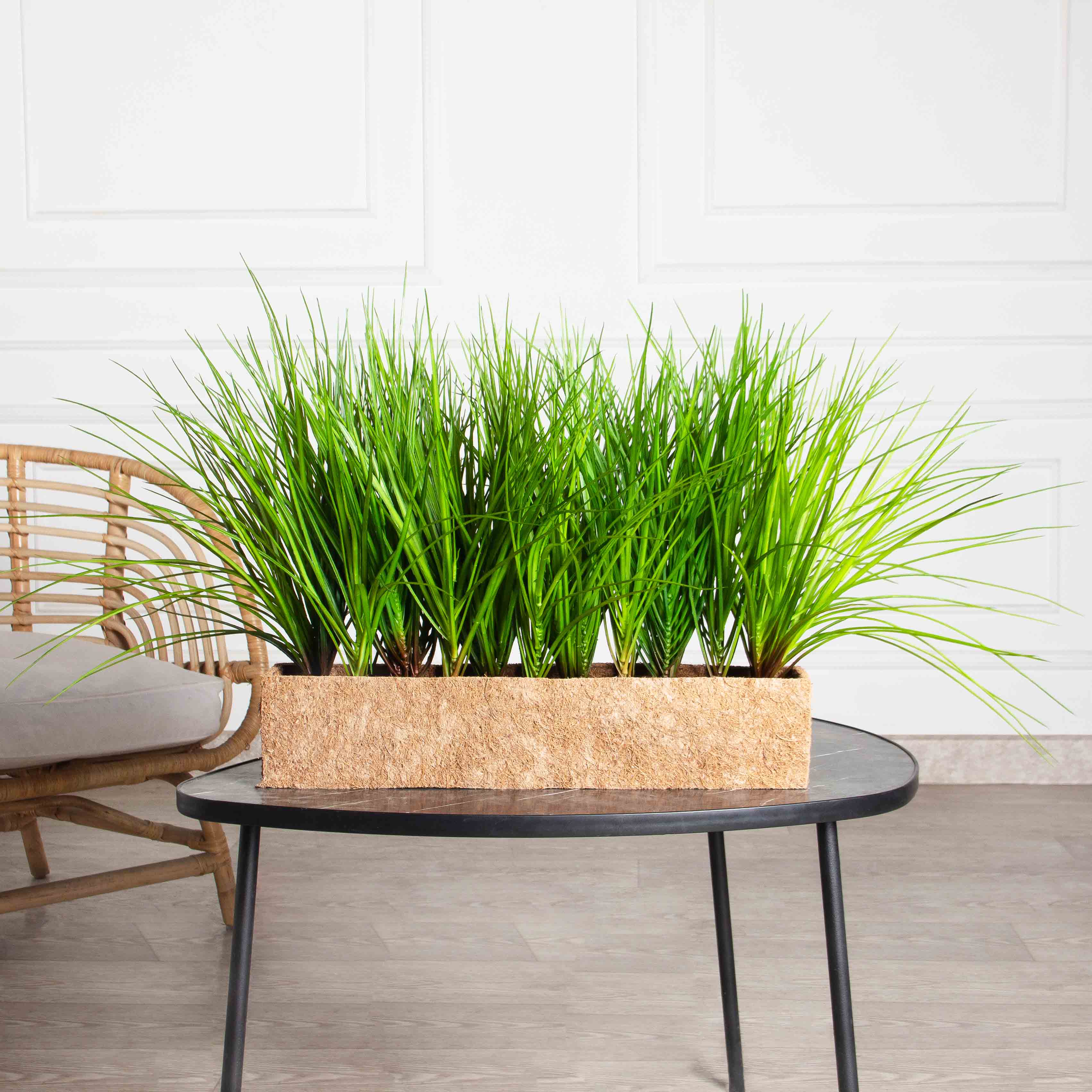 ТД078(F) Трава Осока искусственная  h40см в кокосовом боксе 50х10х10см_2