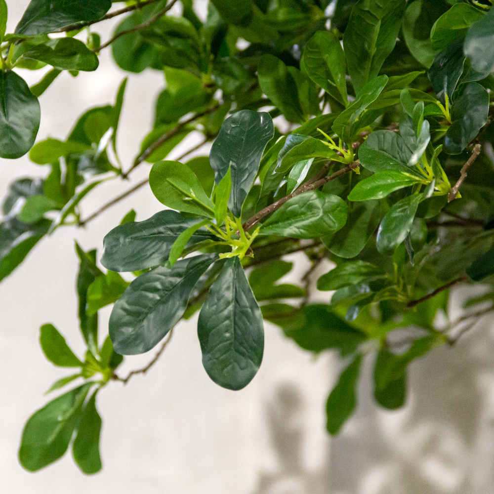 320/РН/84-6(з)(УУ)(Пр)(F) Шеффлера искусственная с подкустником h320см,латекс  _3