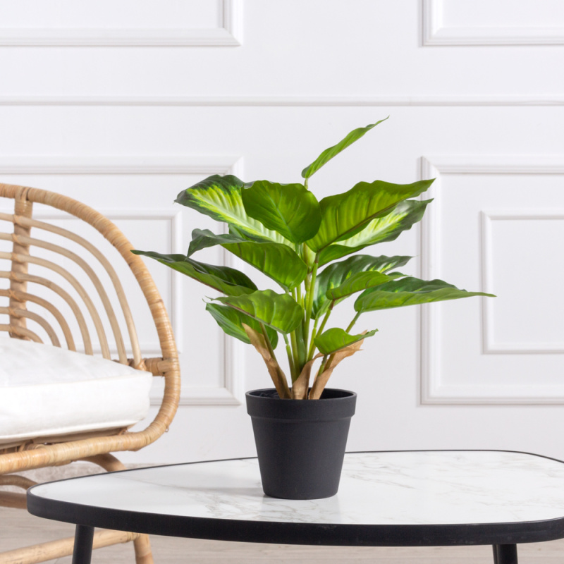 ЦС165(F) Калатея искусственная светлая в кашпо d11см