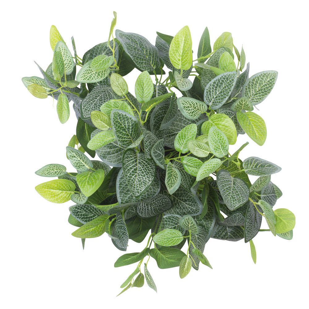 БК 41 Композиция с фиттонией на блоке 15*h10