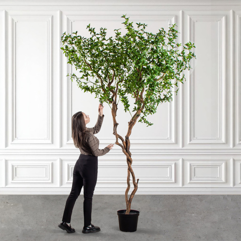 300/ВИТ/АСС/526(з)(УУ)(Пр)(F) Бересклет искусственный h300см_1