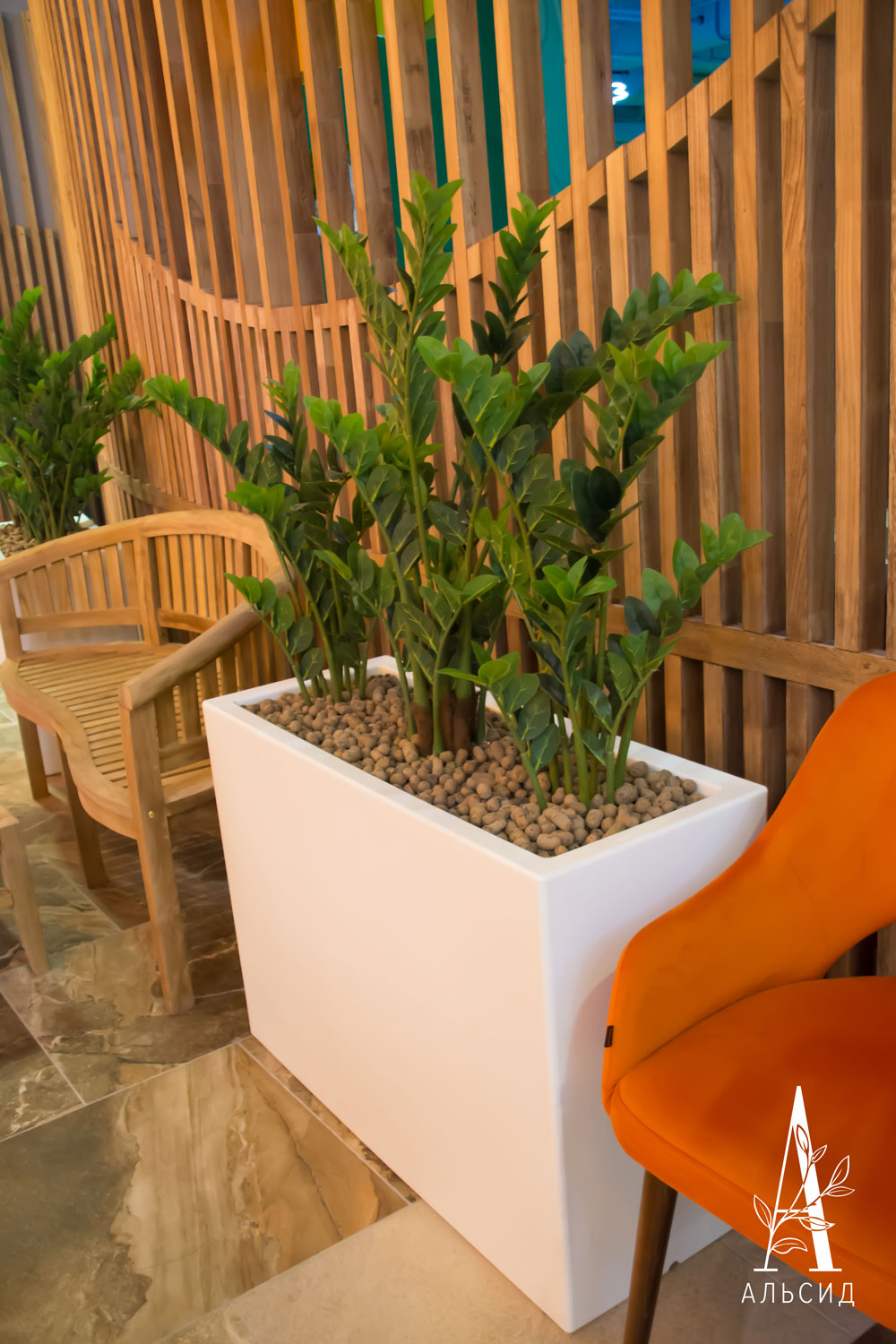 070/К/407(Пр)(F)(FixK) Замиокулькас искусственный куст h70см_2