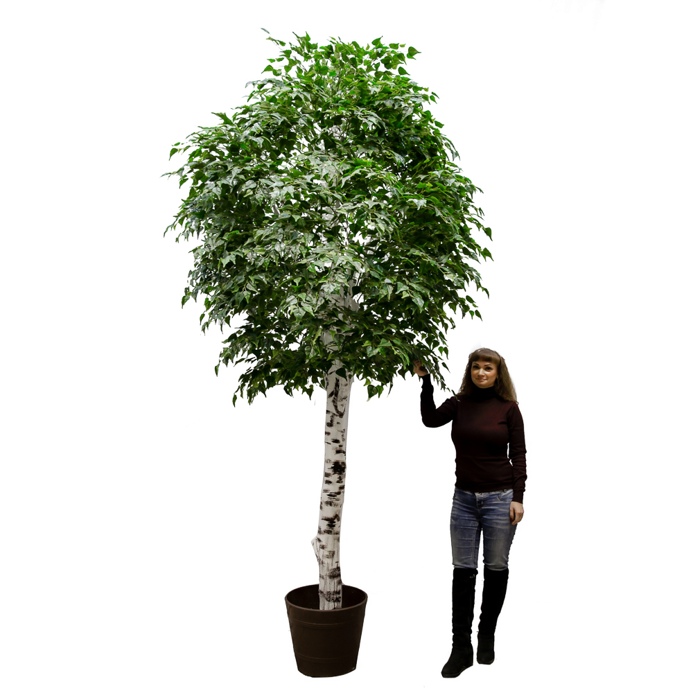 320/РН/12М(з.)_2