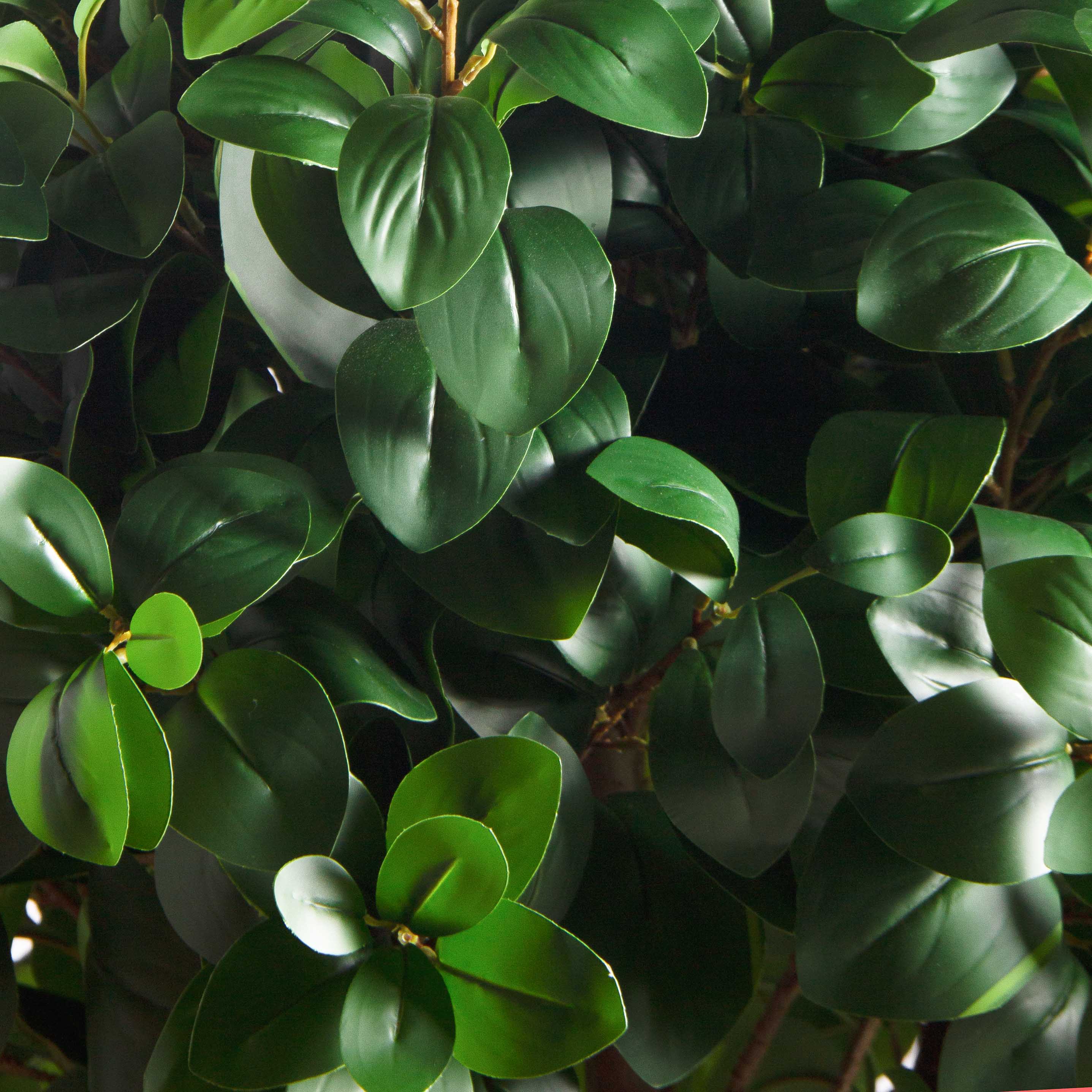 120/Ш/208(з)(F) Рускус искусственный h120, d80см (латекс)_5