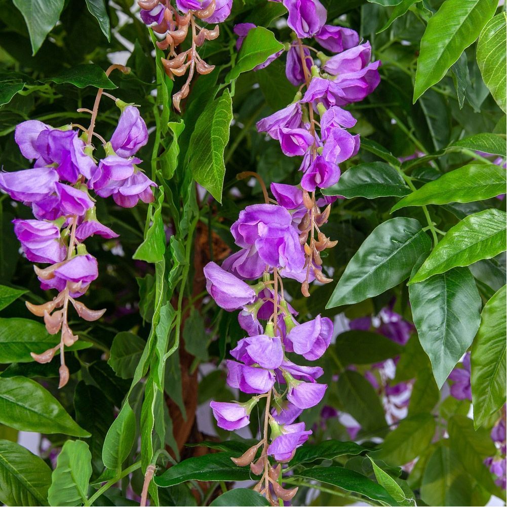 160/ОС/424-2 Глициния(вистерия) сиреневая h160см (латекс)_2