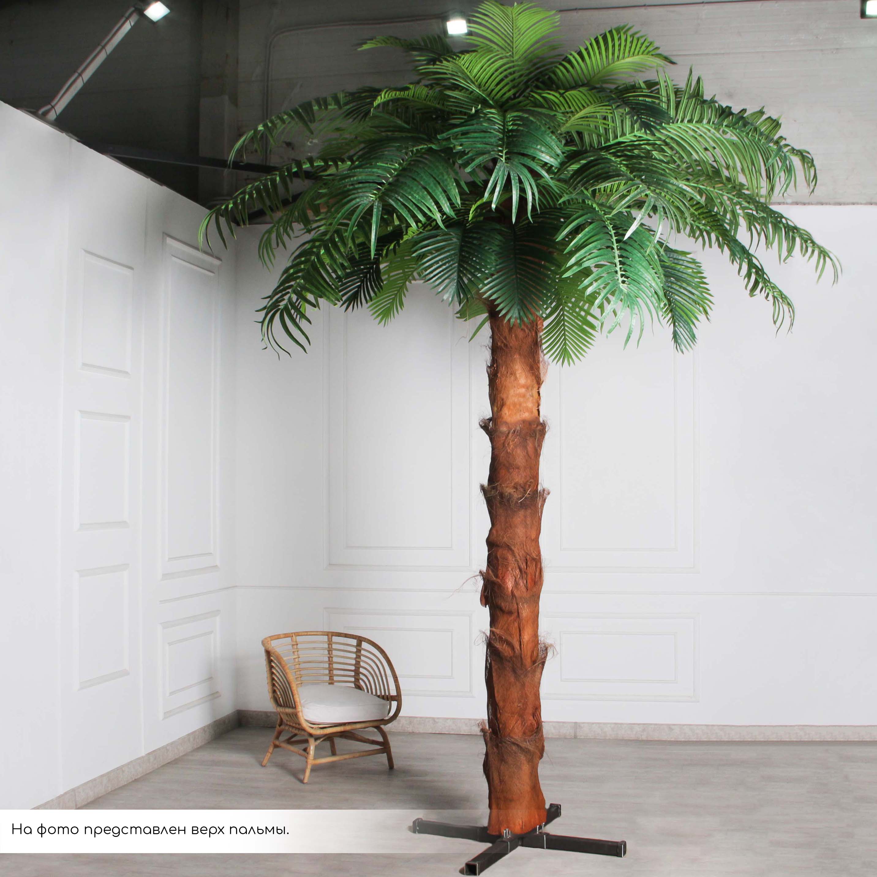 ПС500/ТР/49СТ(Пр)(F) Пальма Арека искусственная h500см на мет.основании_4
