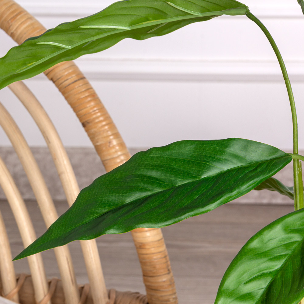 7143/0033-16 Калатея искусственная куст малый с корнями 9 листов h47см, зеленый_1