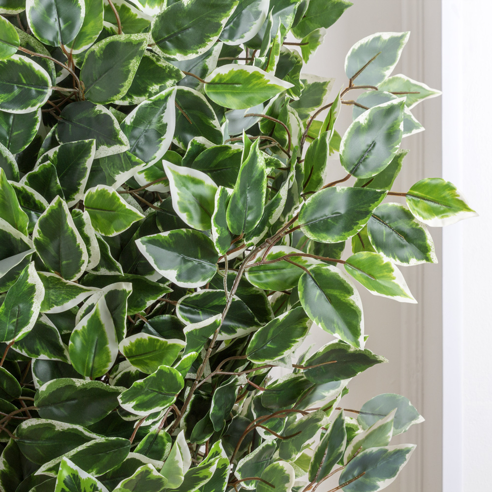 140/Р/17М Фикус Бенджамина искусственный h140см (латекс)_6