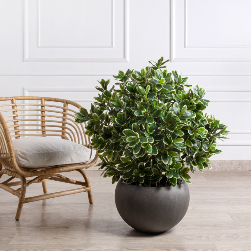 090/К/519 Питтоспорум искусственный куст пестрый h90см