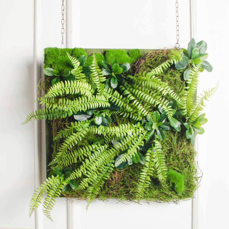 ФК05(з)(F) Фитокартина искусственная с толстянкой 50х50см_1