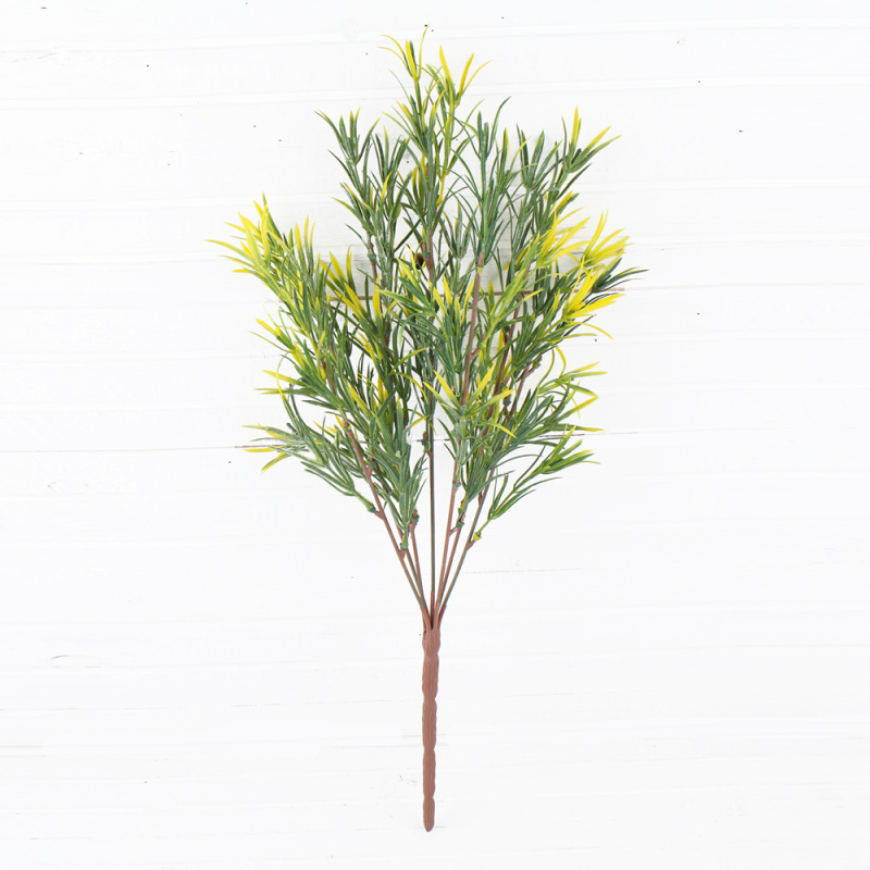 7143/0300-12/1 Розмарин куст*7 (бол.) желт. узкий2