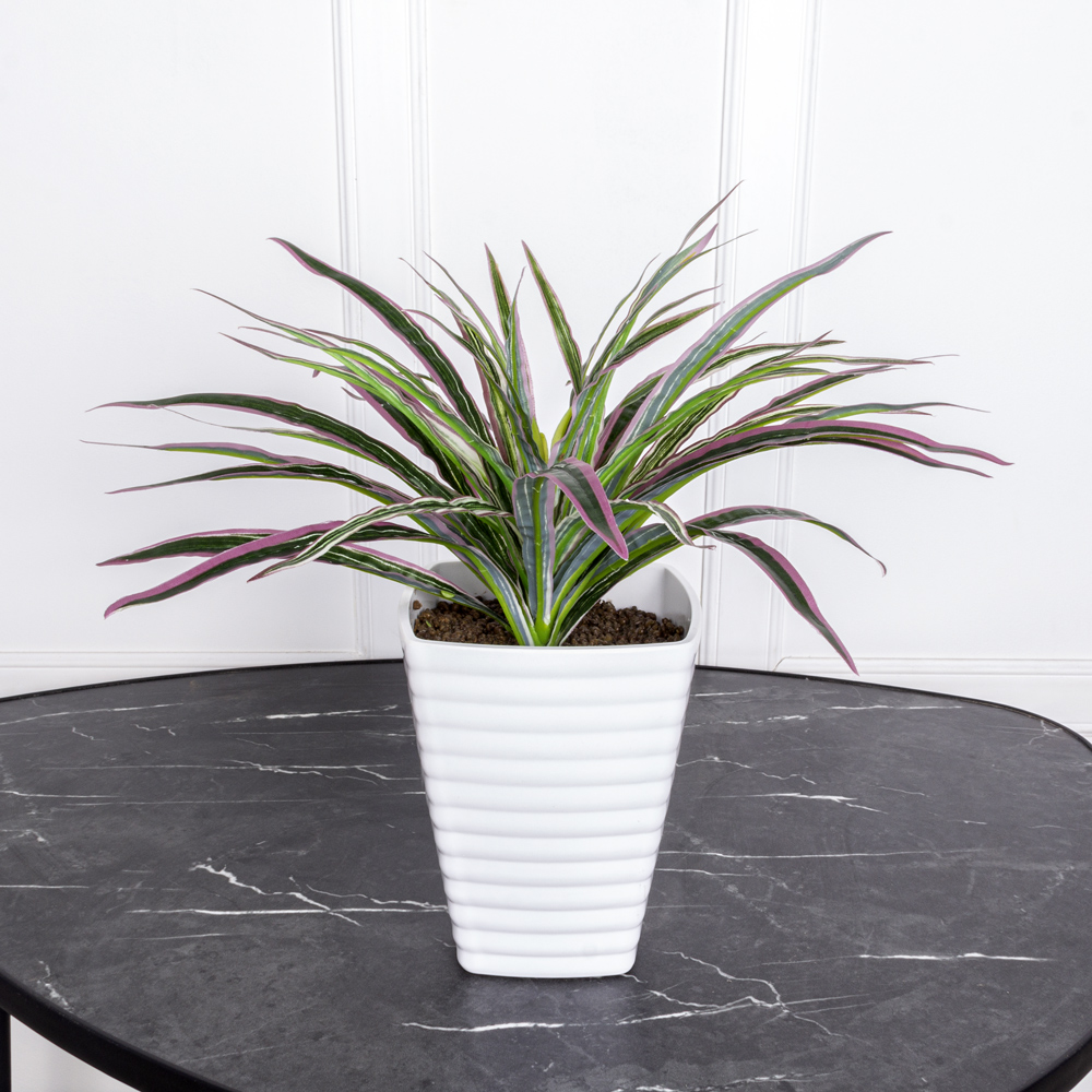 К277(з) Драцена (d-30 h-25) в ребристом кашпо(13.5*13.5*16_4