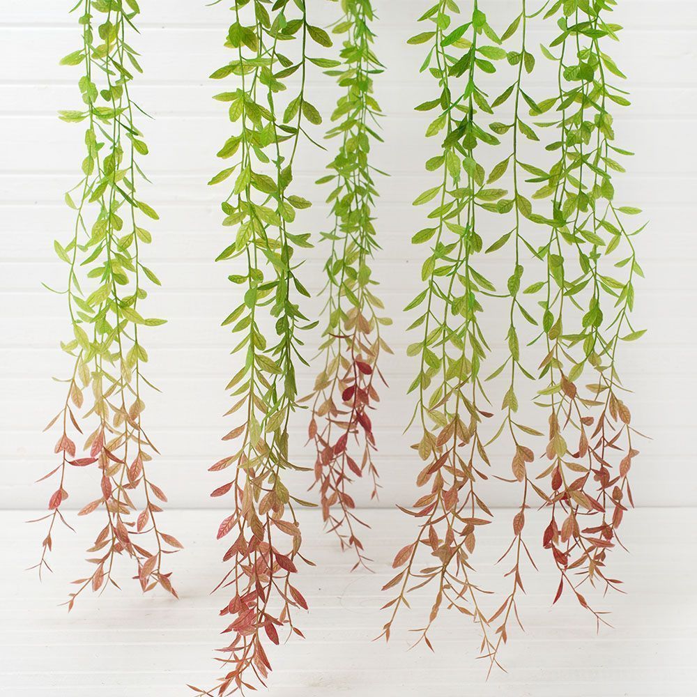 ККВ02 Папоротники в коковите (d-50; h-50см)_3