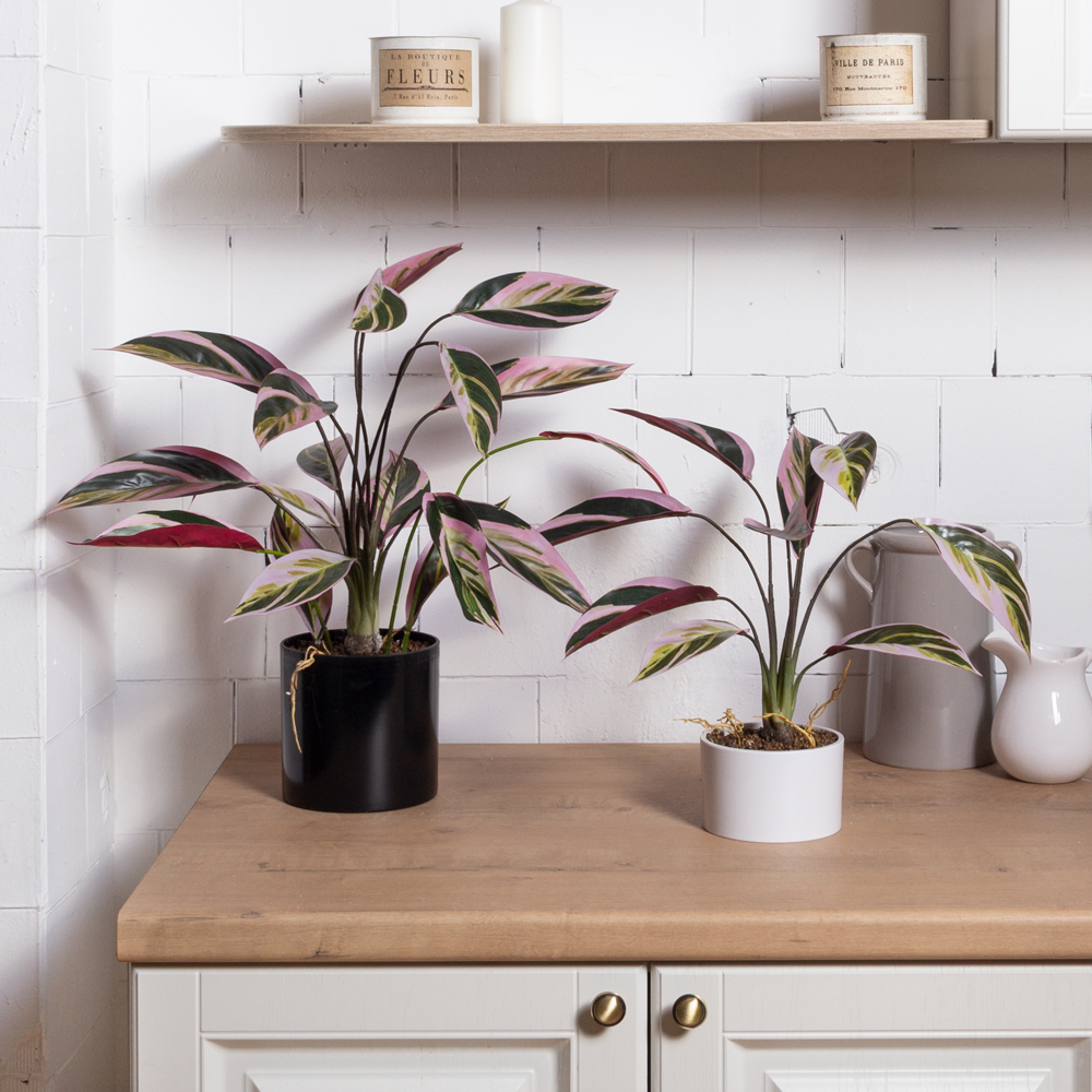 ЦС212-2(F) Калатея искусственная Строманта,  розово-зеленая_3