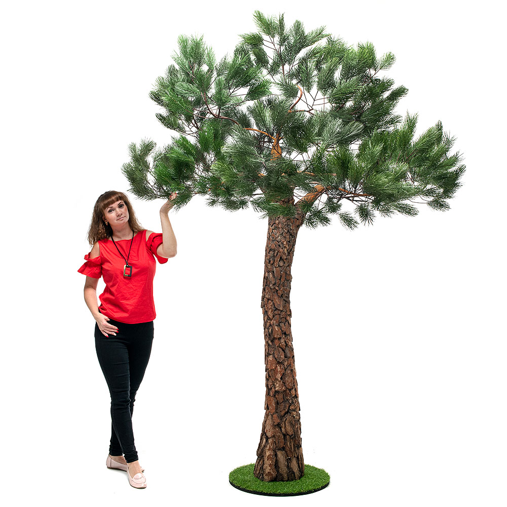 250разб/нат/224(з.) Сосна с натур.корой h-250см_3