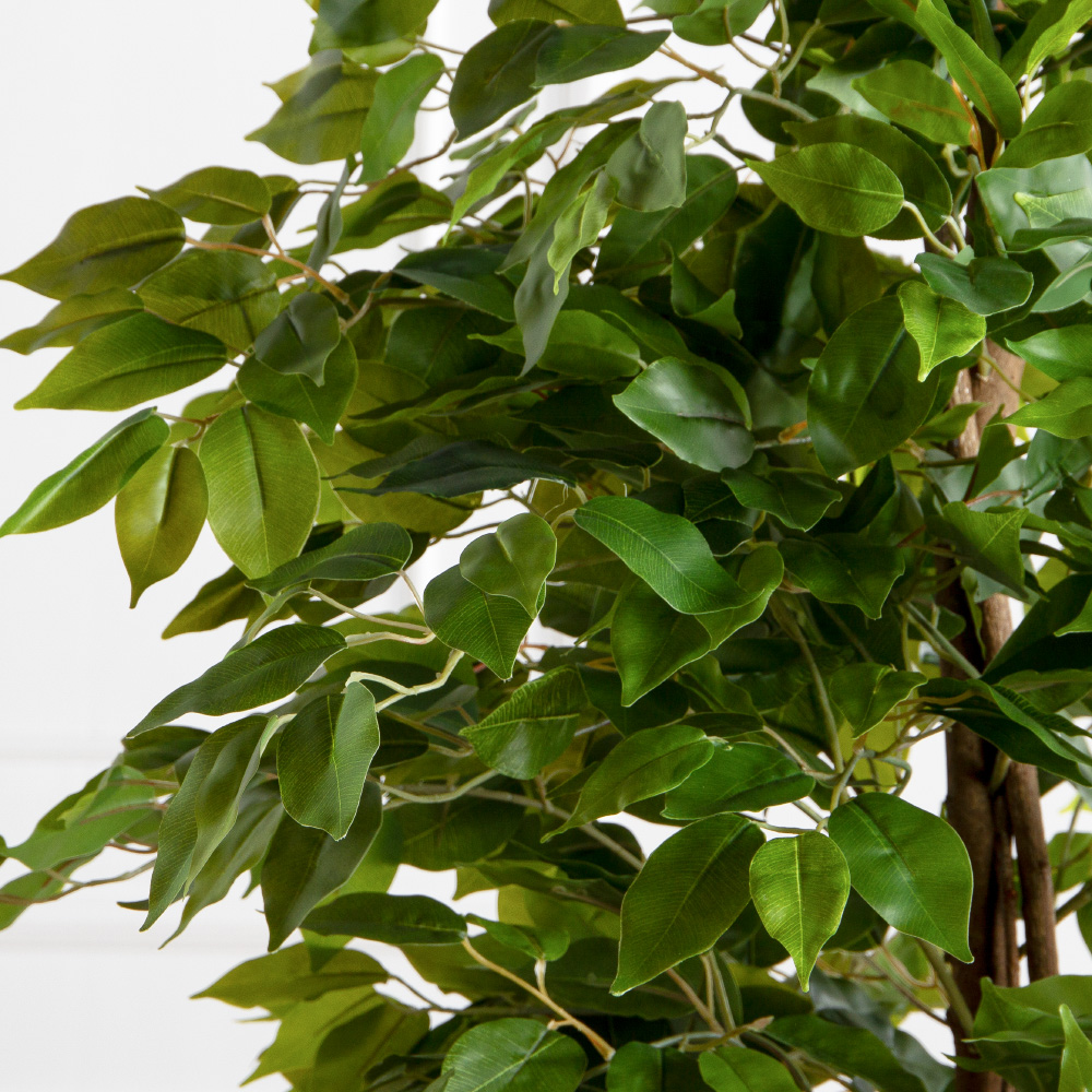 180/РН/ЭК/345(Пр)(F) Фикус искусственный h180см,(латекс)_7