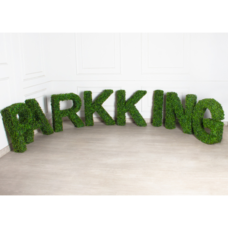 Логотип PARKKING 582,7хh75см(F)_1