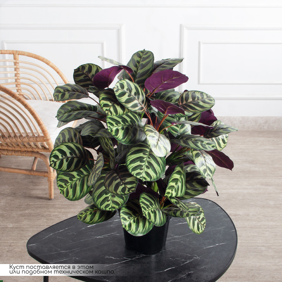 070/К/206(Пр)(F) Калатея искусственная h70см, зелено-фиолетовая_2