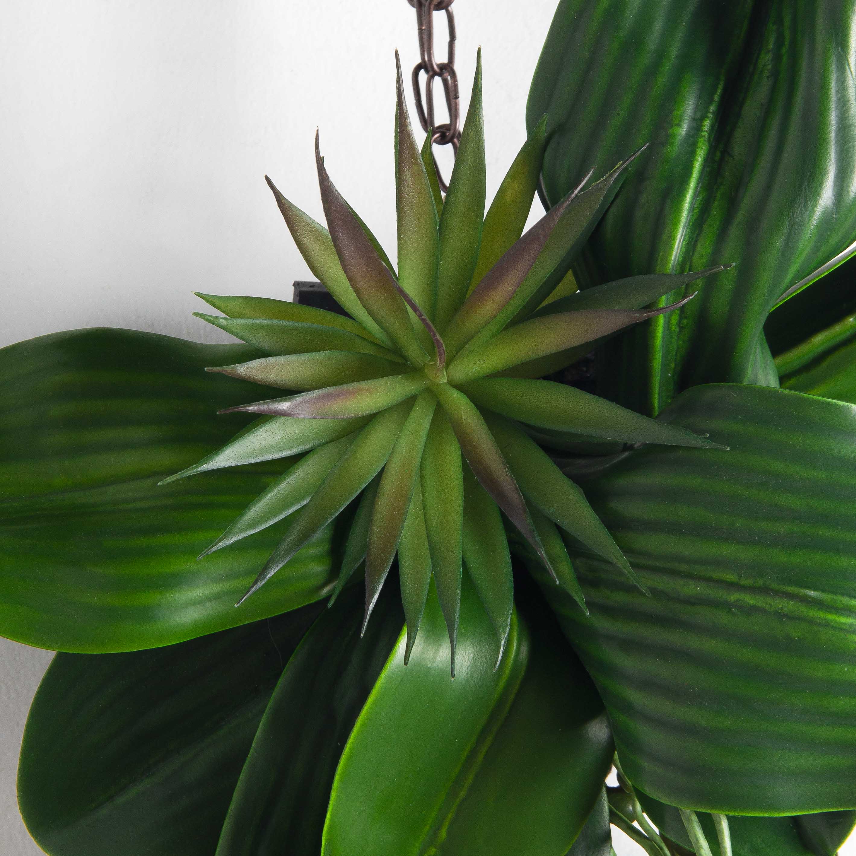 БК27(F) Композиция с суккулентом Юкка на блоке 15*h10см_4