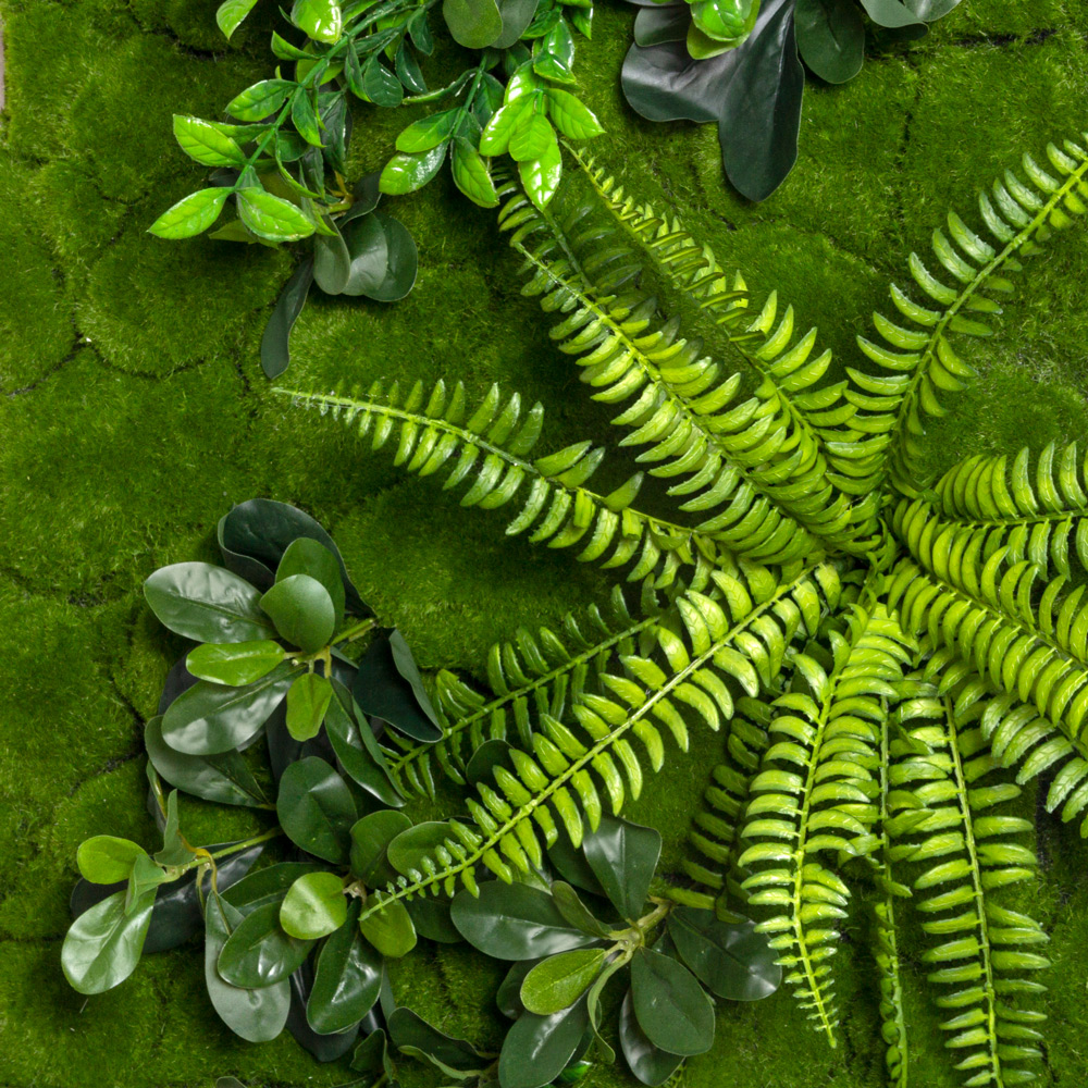 ФТС167 Фитостена, за 1кв.м_1