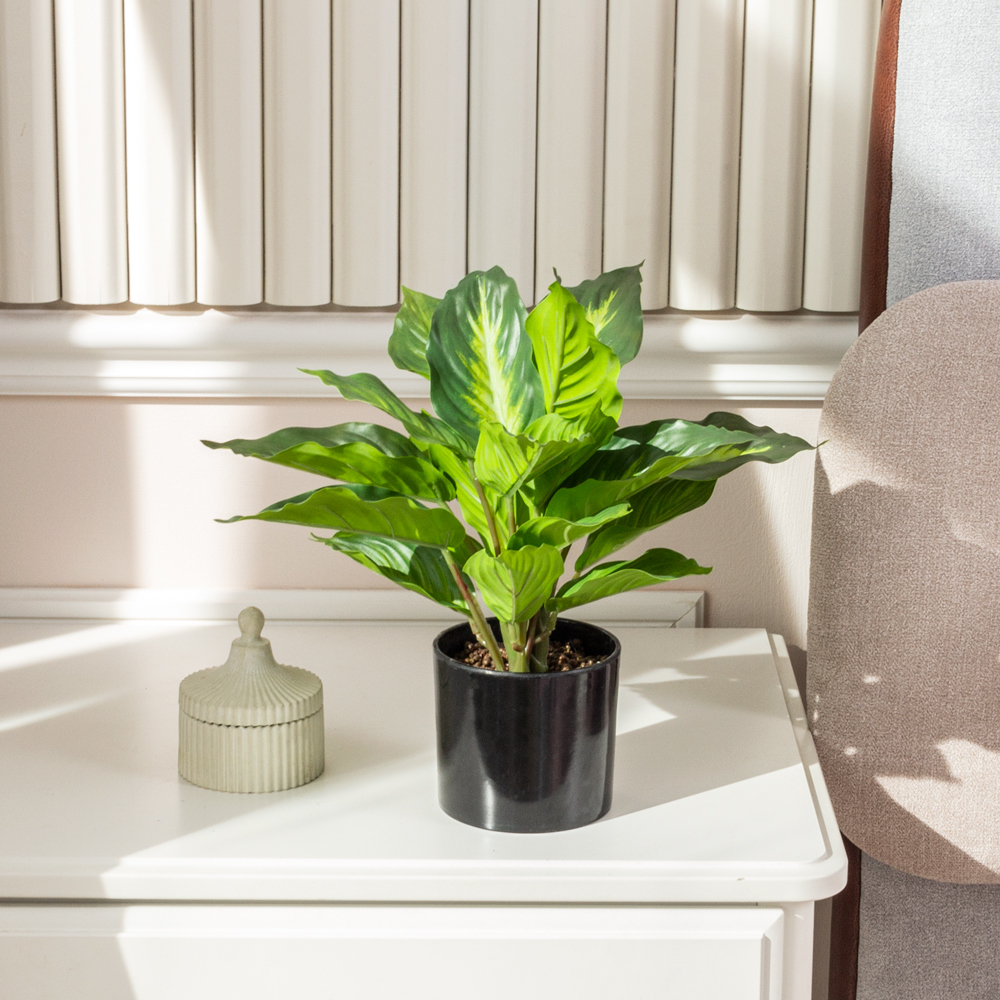 ЦС1655(F) Калатея искусственная зеленая_1