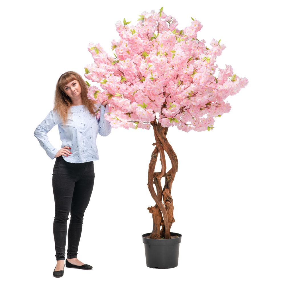 210/ОС/225 Сакура розовая h-210см_3