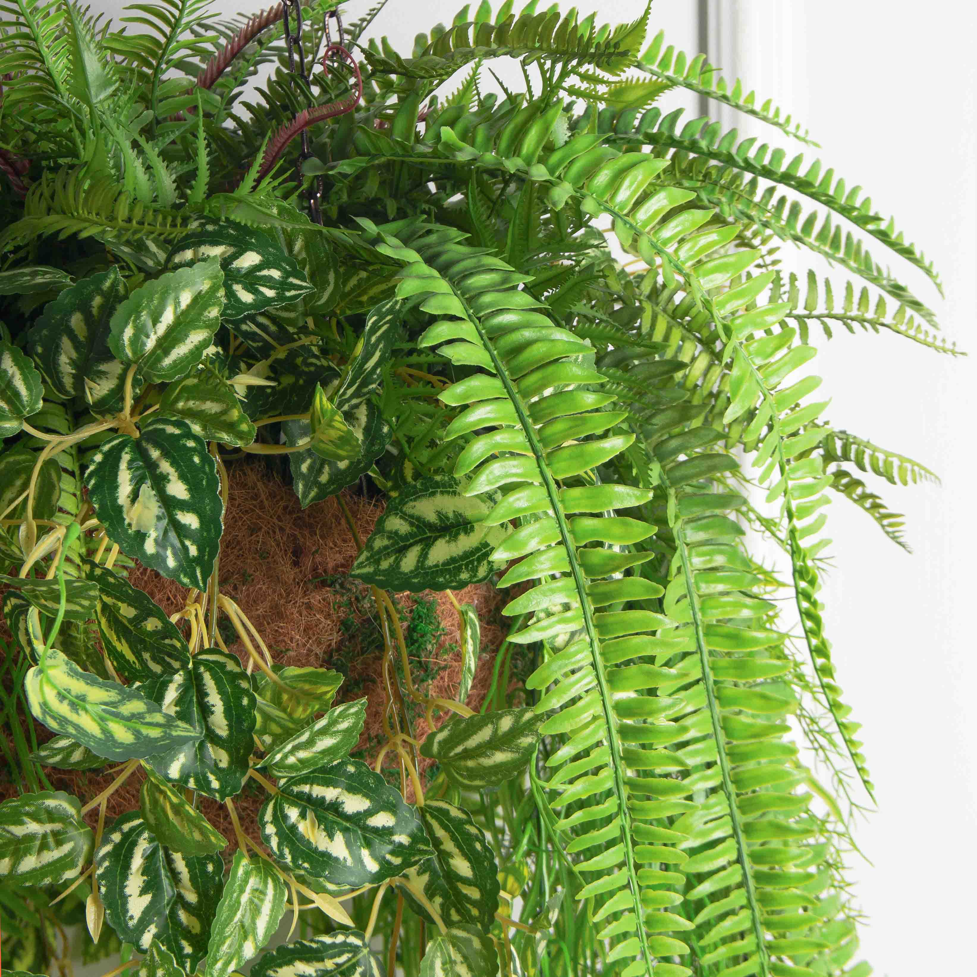 ККВ09 Папоротник искусственный с ампельной пилеей в коковите_3