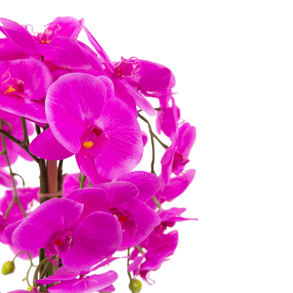 ЦК80*5/33-2 Орхидея Фаленопсис(малиновая)h65см(латекс) в интерьерном кашпо _2