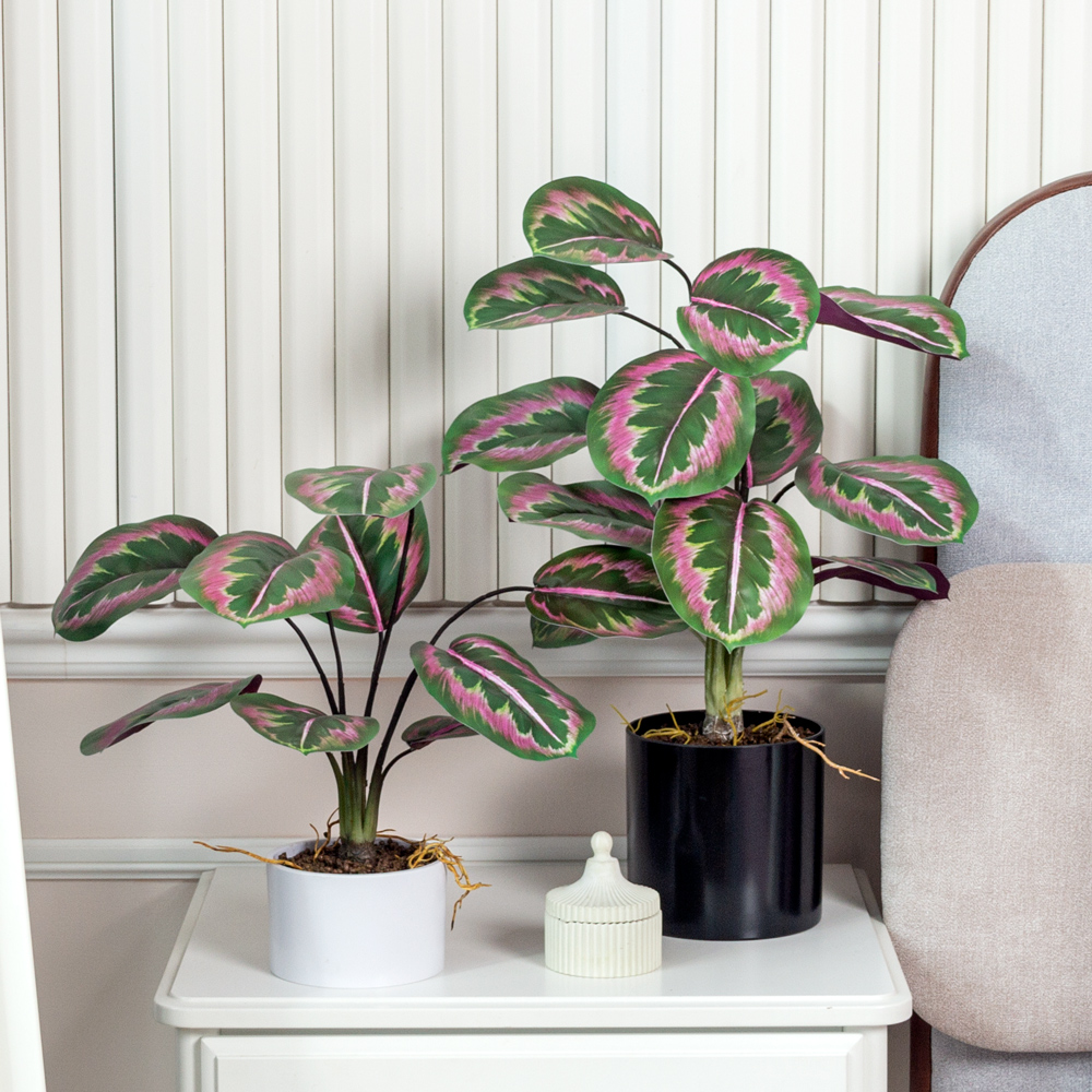 ЦС214(F) Калатея искусственная зелёно-фиолетовая_2