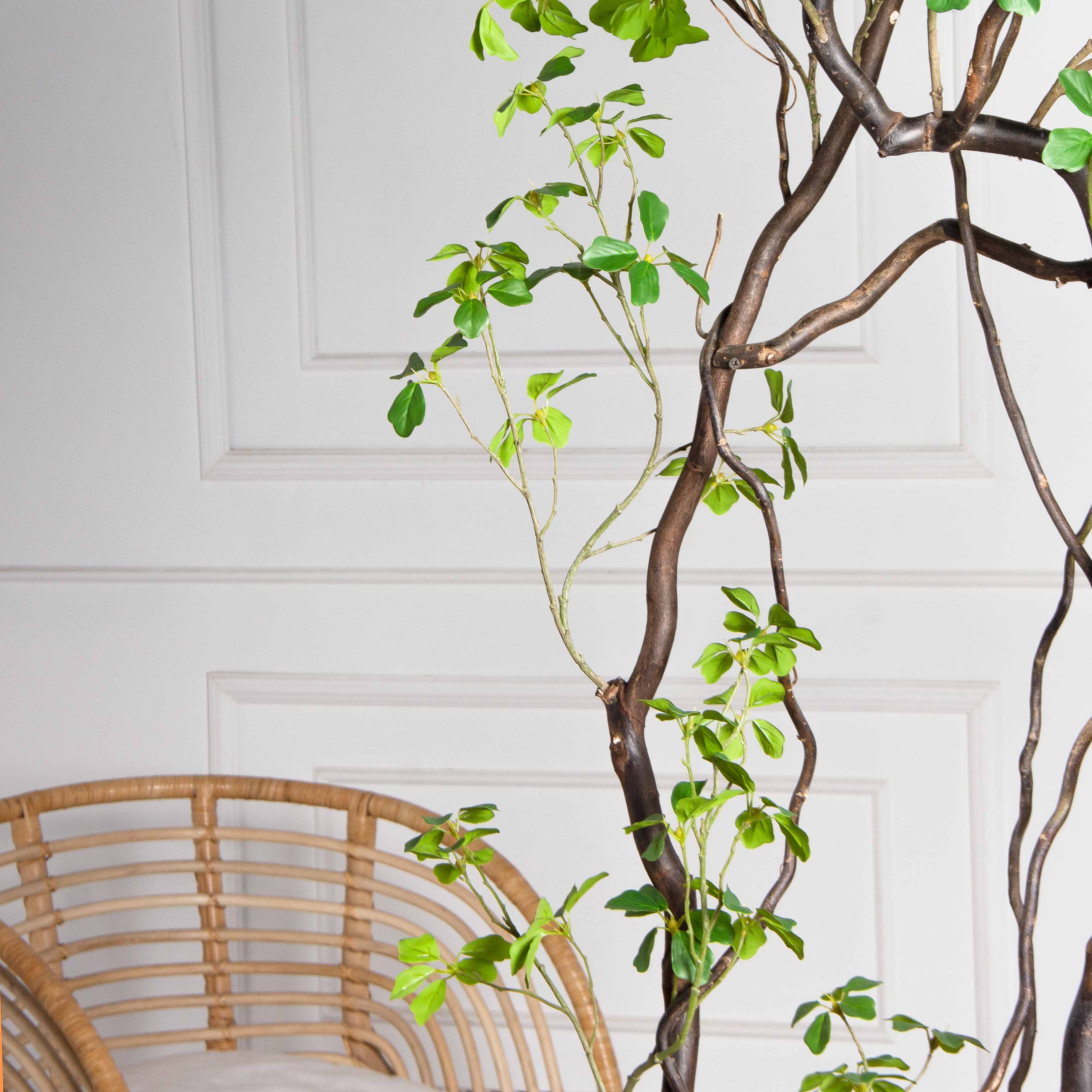 220/ВИТ/АСС/534(Пр)(F) Шеффлера искусственная Компакта  h220см_8