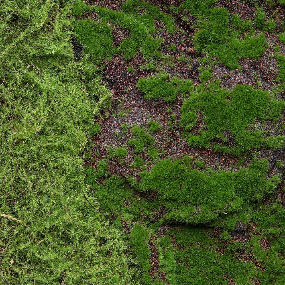 Фитостена 124 (1кв.м)_2