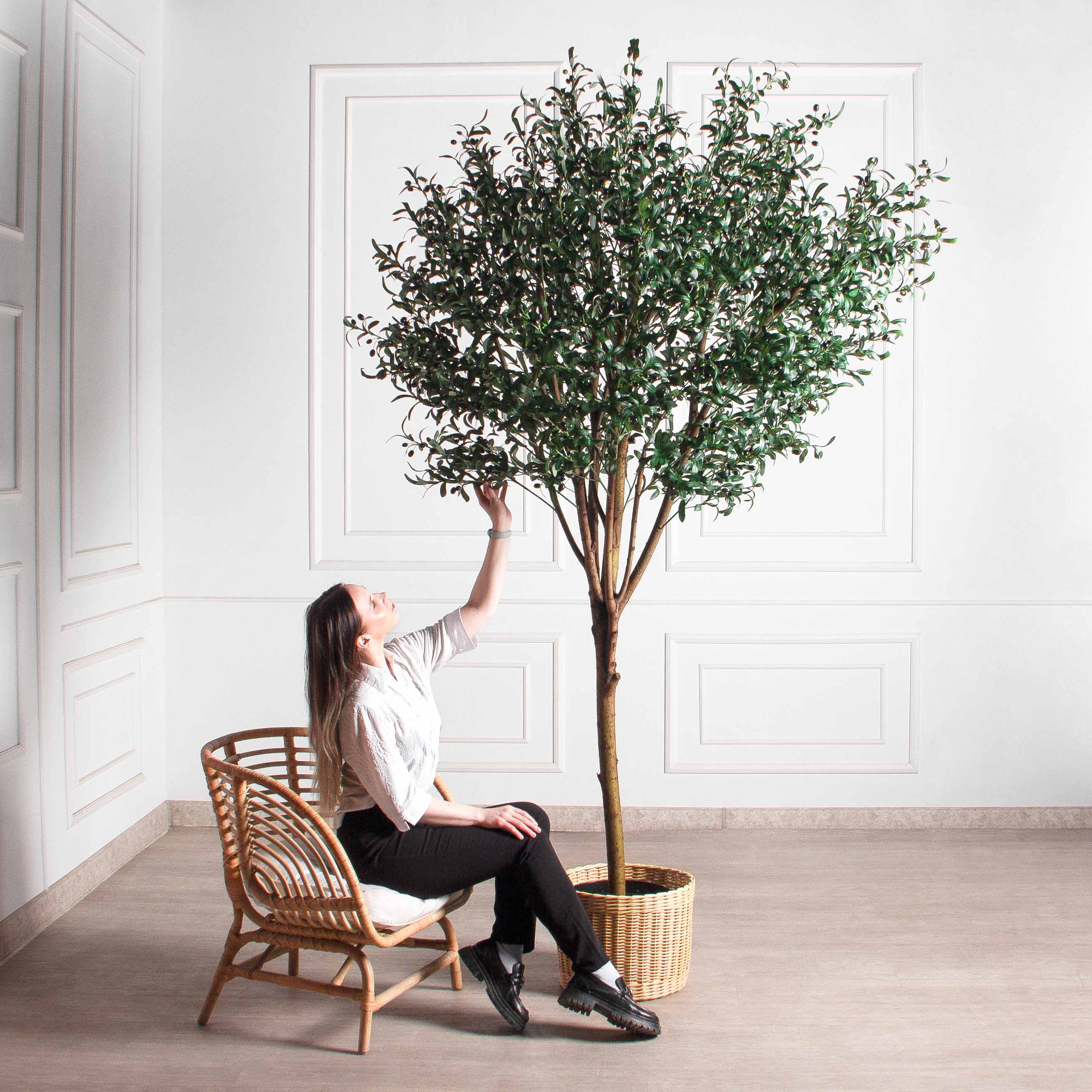 250/О/465(F) Оливковое дерево искусственное с плодами h250см_2