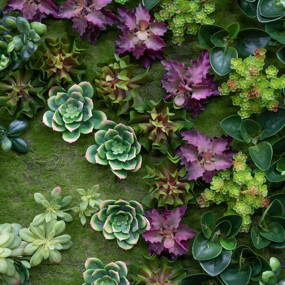 Фитостена 85 