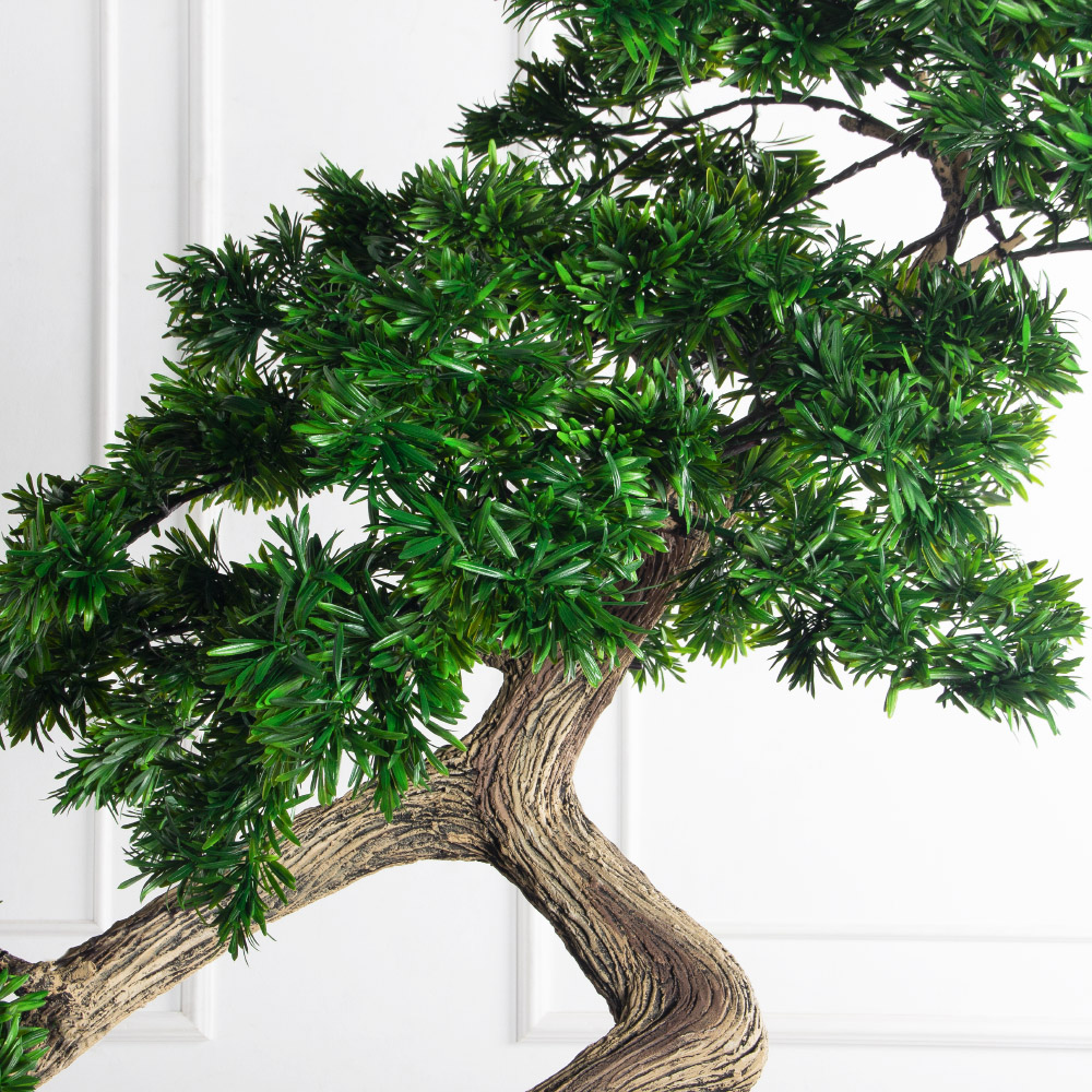 210МЕТ/АСС/241(з)(F) Подокарпус интерьерный h180 d150см_6