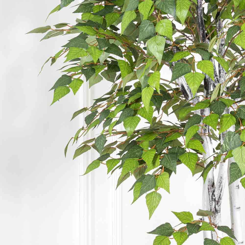 180/РПК/12М(з) Береза (зел.) 180см_5