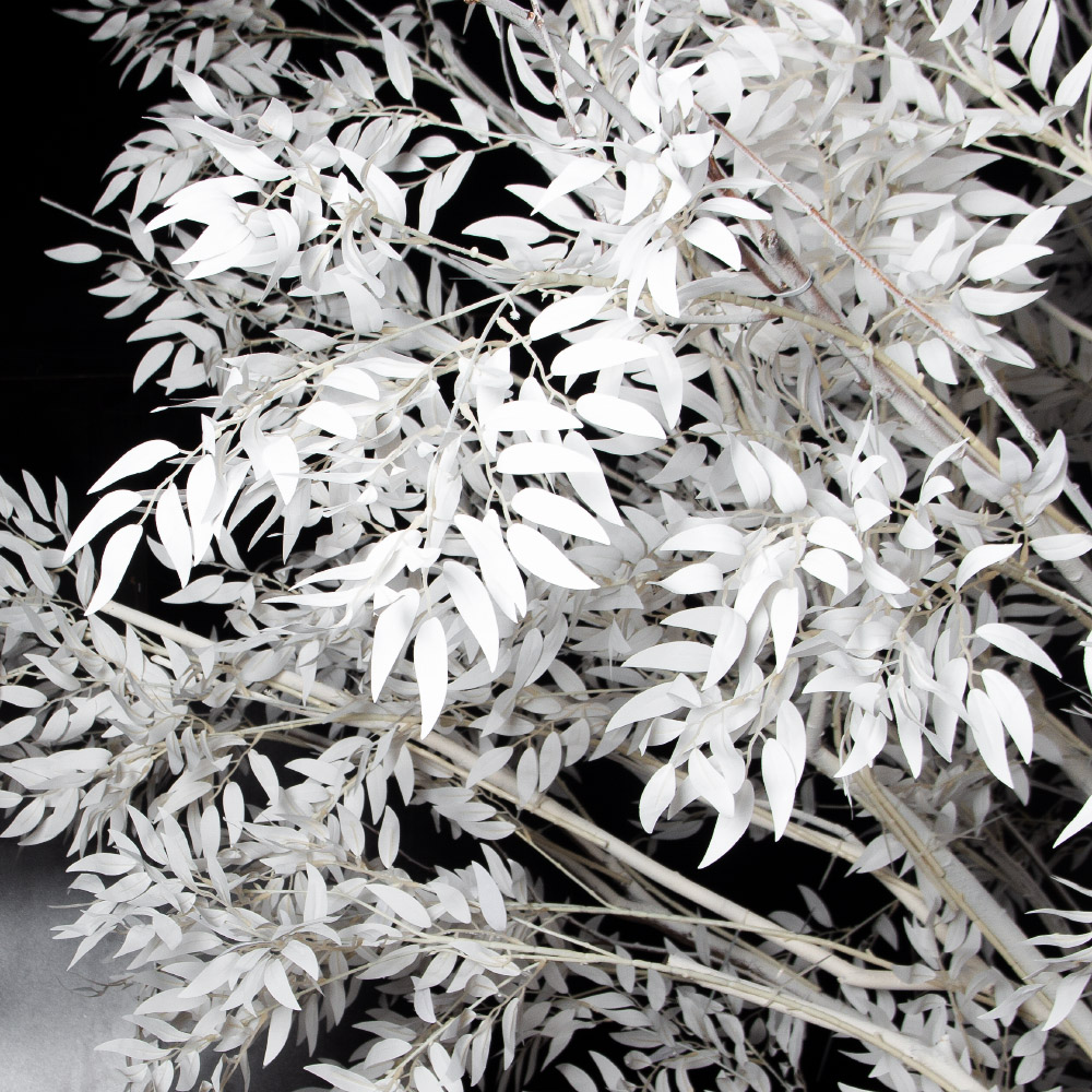 310Гбст/разб/РН/652(F) Ива интерьерная зимняя h310см d290,белая_7