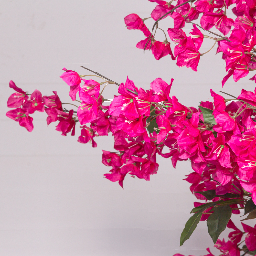 320/РН/434(з)(F) Бугенвилле́я искусственная h320см, d370х180см_5