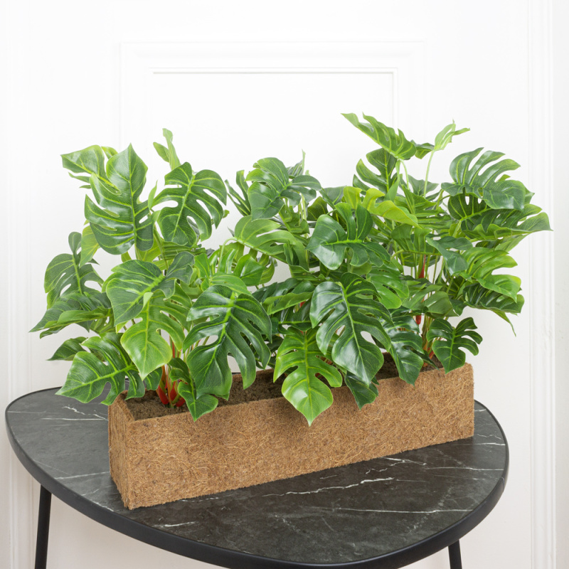 ТД083 Композиция искусственная Монстера(латекс) в кокосовом боксе 50х10х10см_1