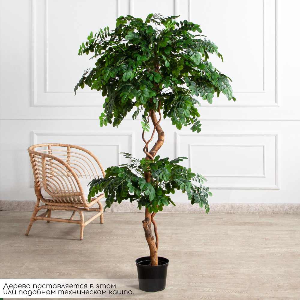 180/2К/ВИТ/702(Пр)(F) Софора японская искуственная h180см,(латекс)_2