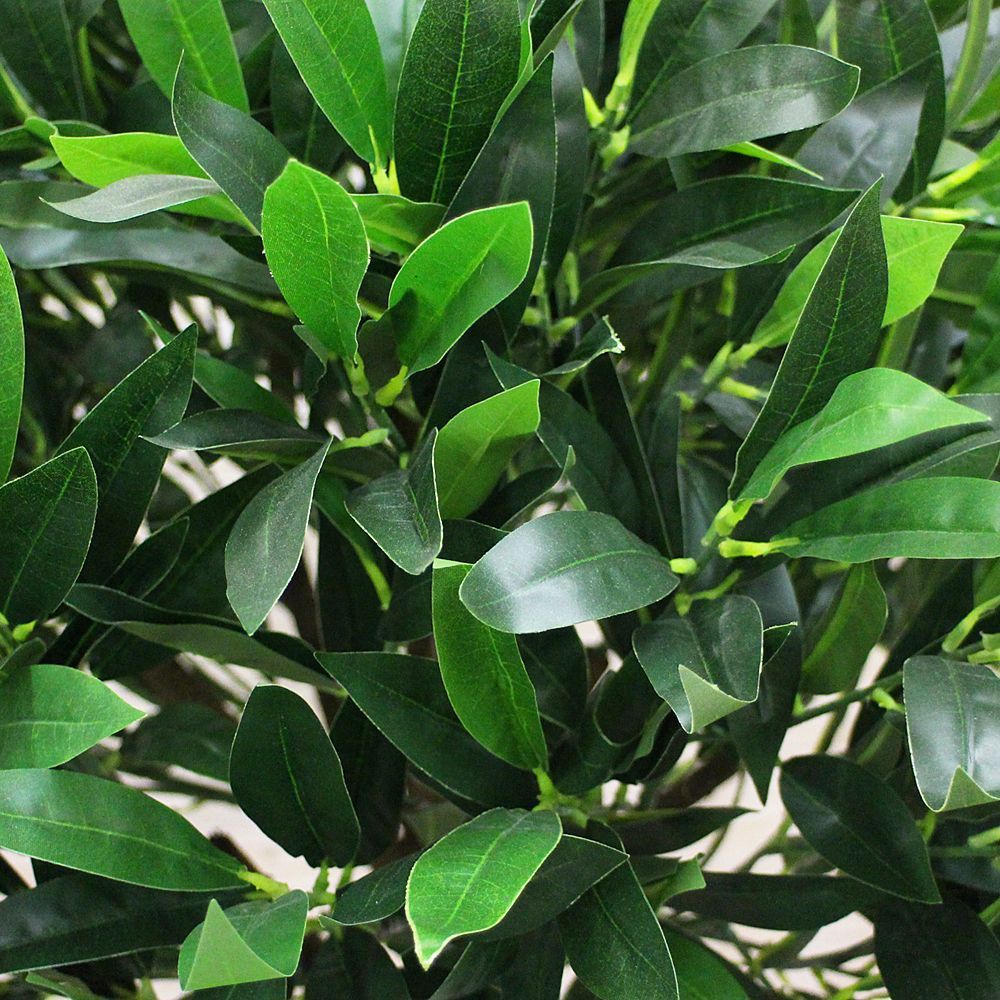 140/Ш/188-1(з.) Лавр (латекс) 140см_2