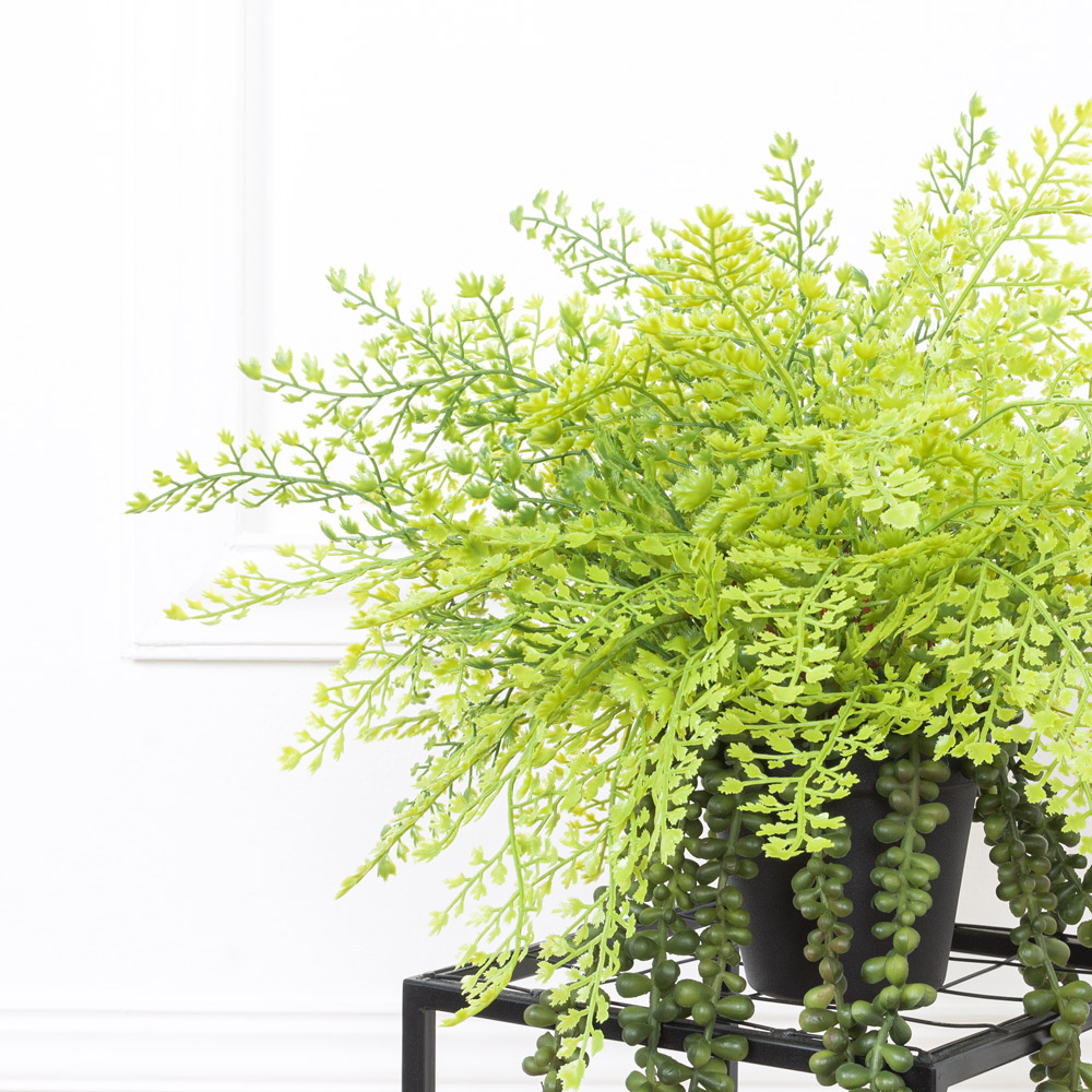 ЦС171(з.) Композиция искусственная с адиантумом в кашпо d11см_1