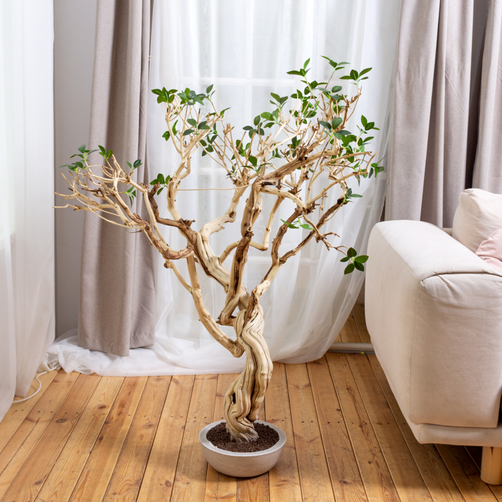 БЛ110/Д3/516ИК(Пр)(F)(Акция) Бонсай искусственный Фикус Микрокарпа h110см в интерьерном кашпо_9