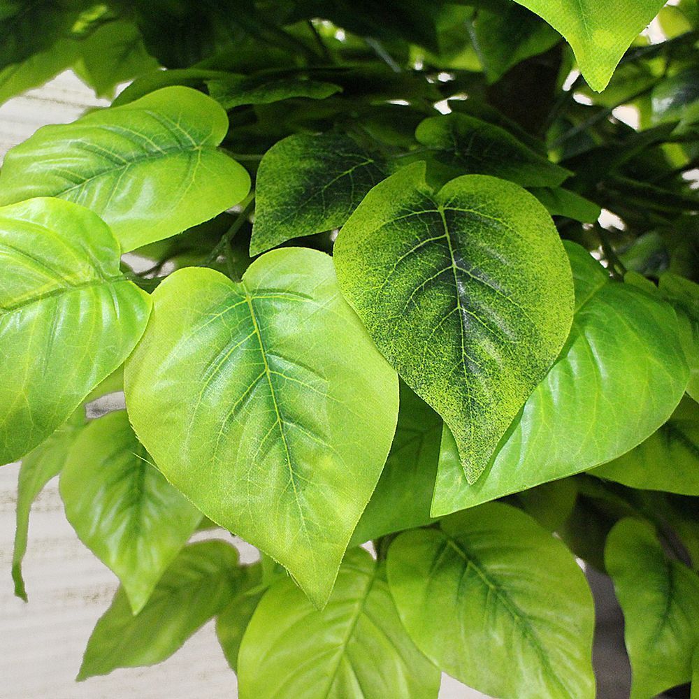 240/189 Катальпа h-240см_2