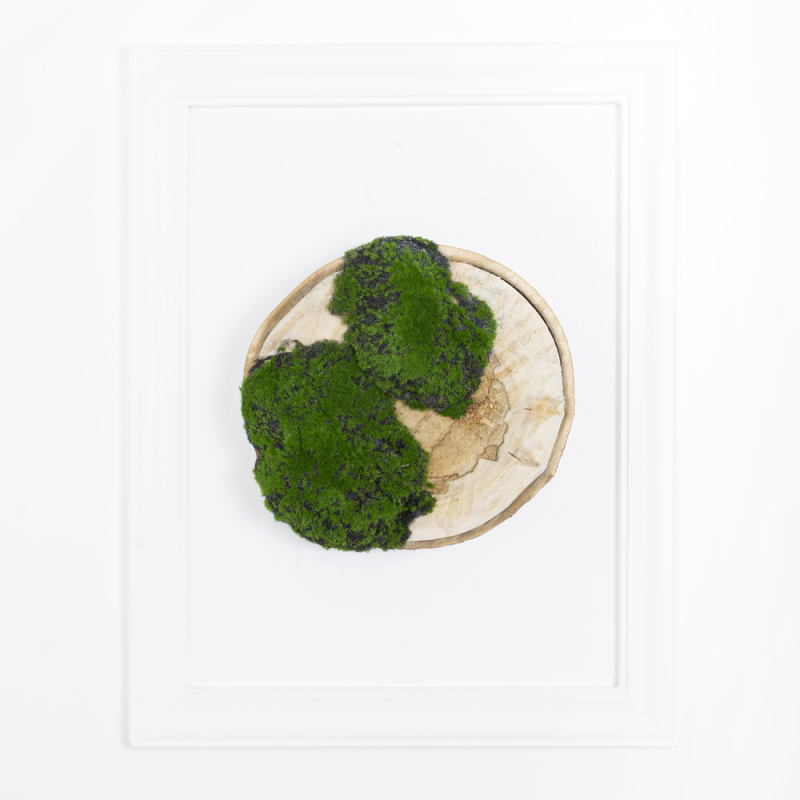 БК140/11 Композиция на березовом спиле d30-40см_6