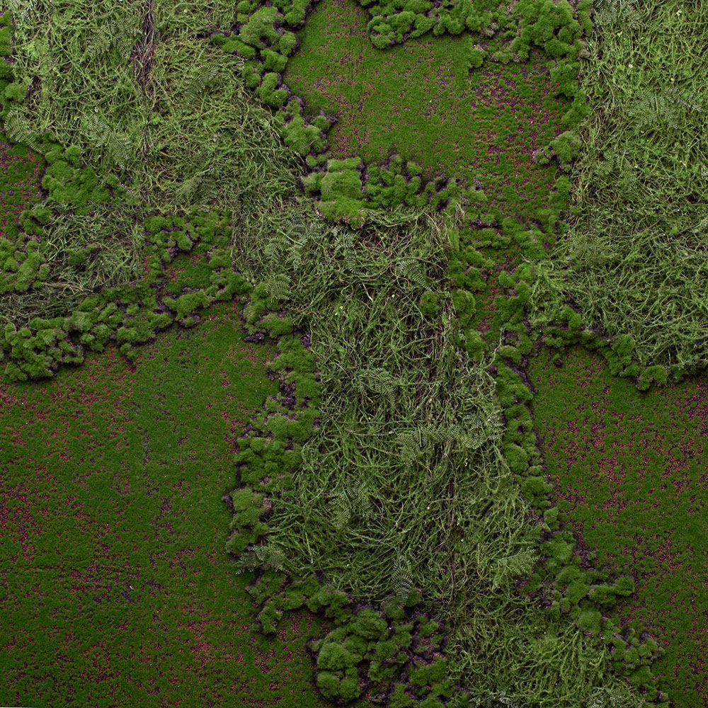 Фитостена 87  Рельеф_2